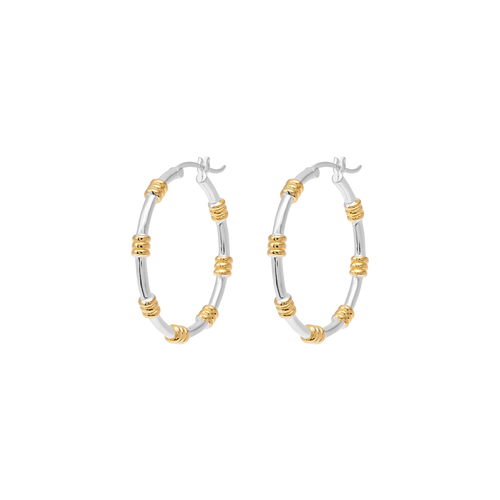 Dual Hoop Earrings