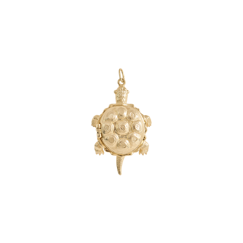 Whispering Turtle Charm