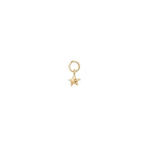 Celestial Piercing Charm