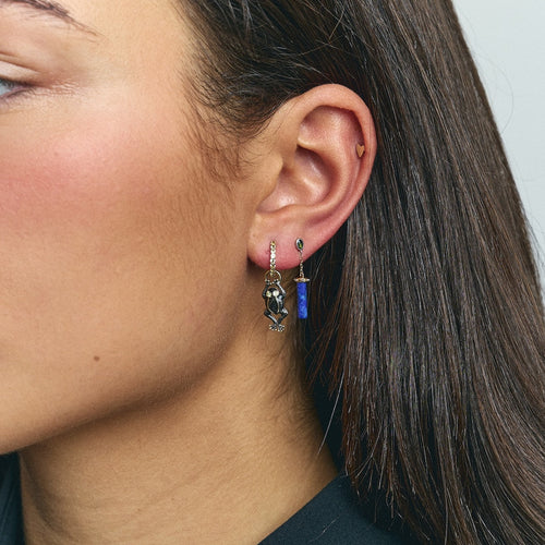 Lucky Frog Earring Charm