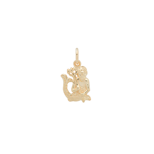 Celestial Zodiac Charm