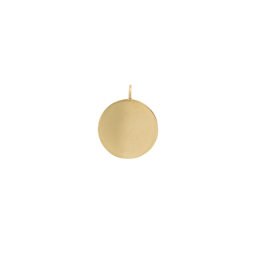 Large Coin Charm
