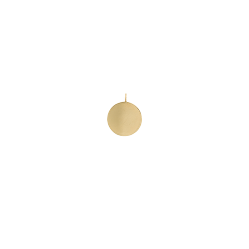 Large Coin Charm