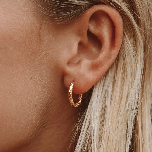 Geschmiedete Hufkettenglieder Earrings